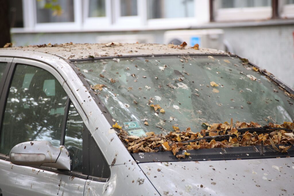 voiture grêlée